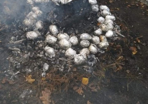 kolejna porcja ziemniaków w ognisku